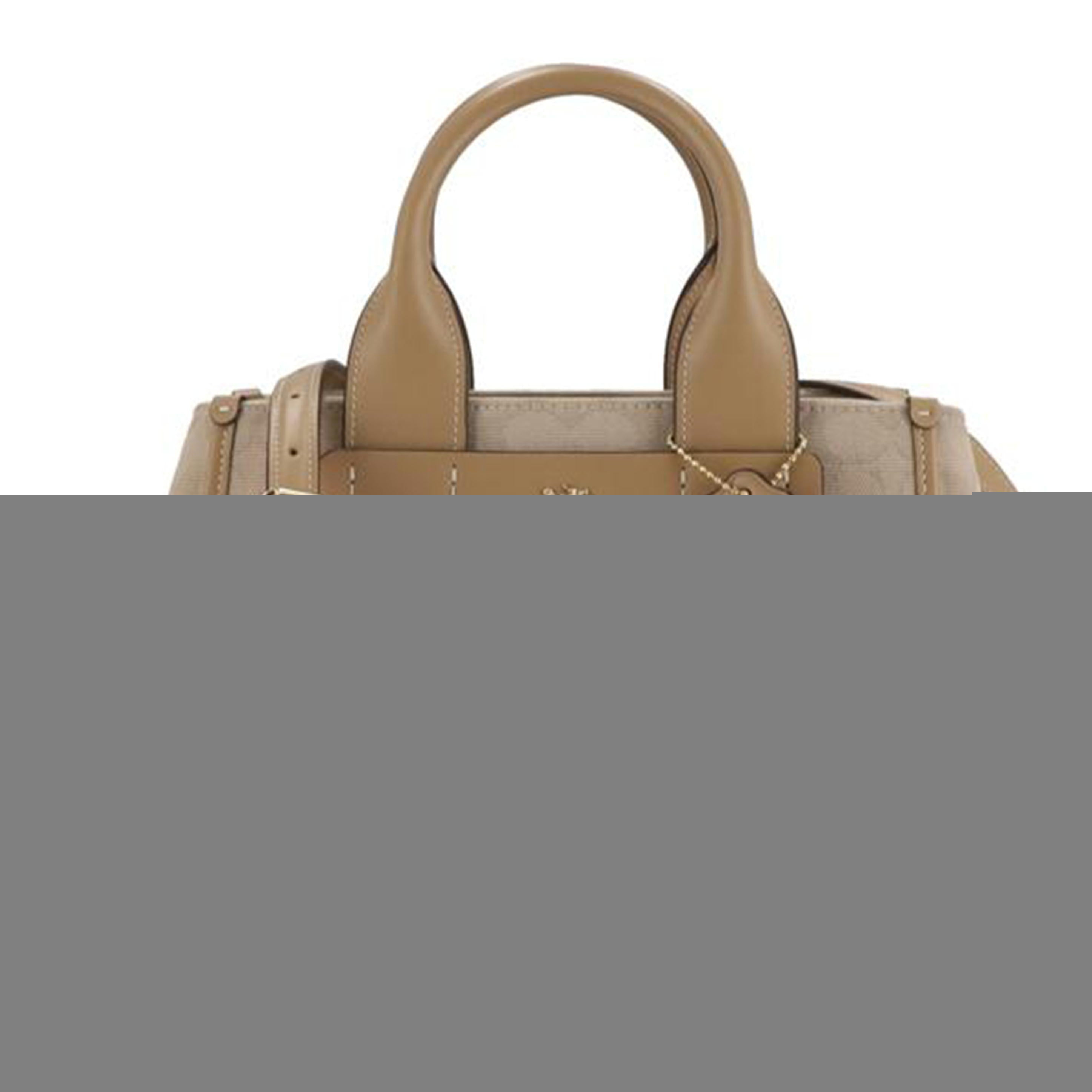 COACH/カーリーキャリーオール 2Wayハンドバッグ/CAL03//M24**/Aランク/85