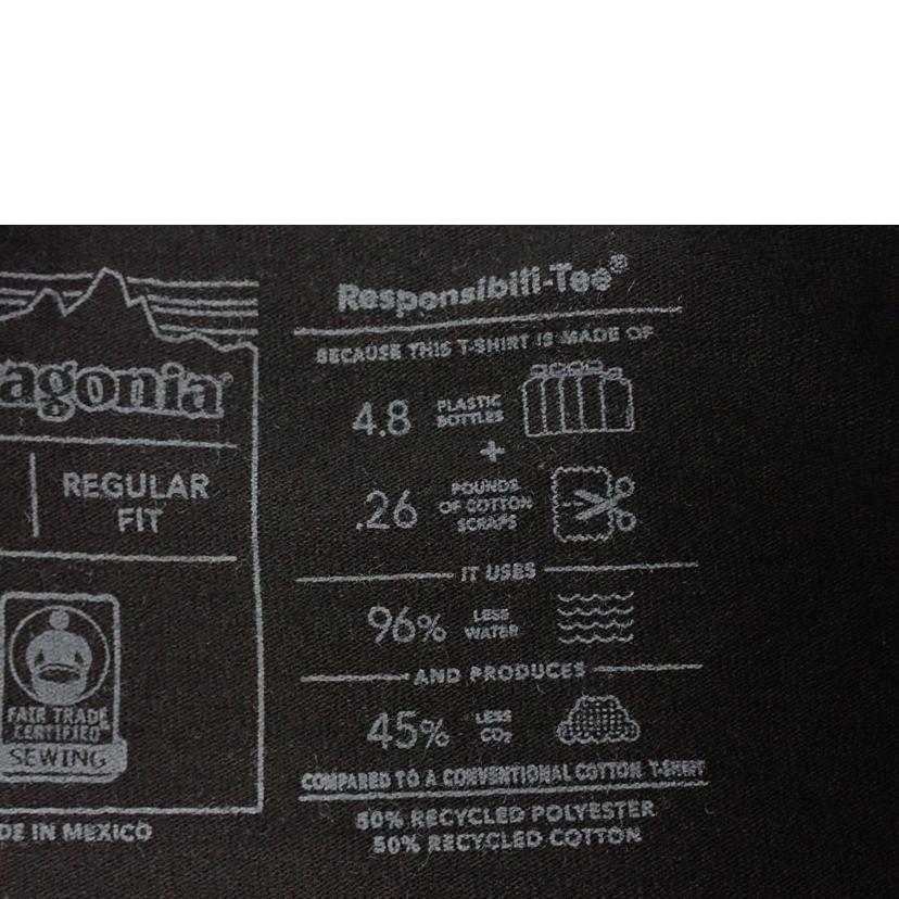 Patagonia Patagonia/★PatagoniaロングスリーブP－6ロゴレスポンシビリティー/38518//L/ABランク/62