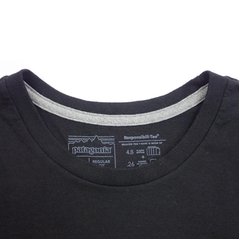 Patagonia Patagonia/★PatagoniaロングスリーブP－6ロゴレスポンシビリティー/38518//L/ABランク/62