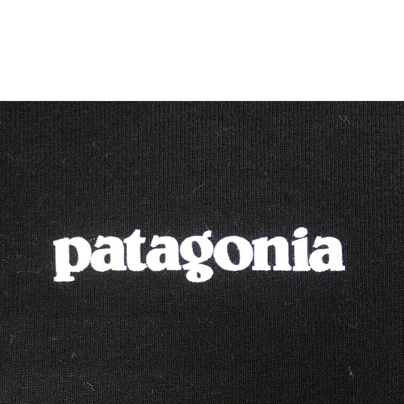 Patagonia Patagonia/★PatagoniaロングスリーブP－6ロゴレスポンシビリティー/38518//L/ABランク/62