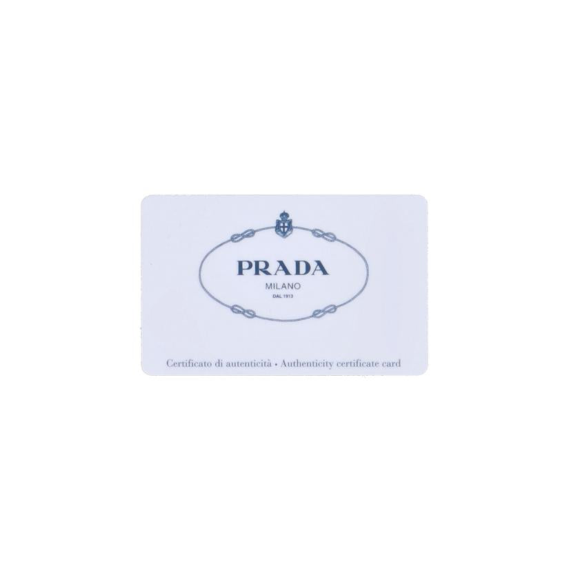 PRADA プラダ/マルチストライプショルダー／ヴィッテロダイノレザー2WAYショルダー/1BD102//ABランク/91