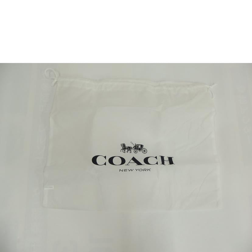 COACH ｺｰﾁ/シグネチャ－ストライプクラッチ/F26071//E19**/ABランク/82