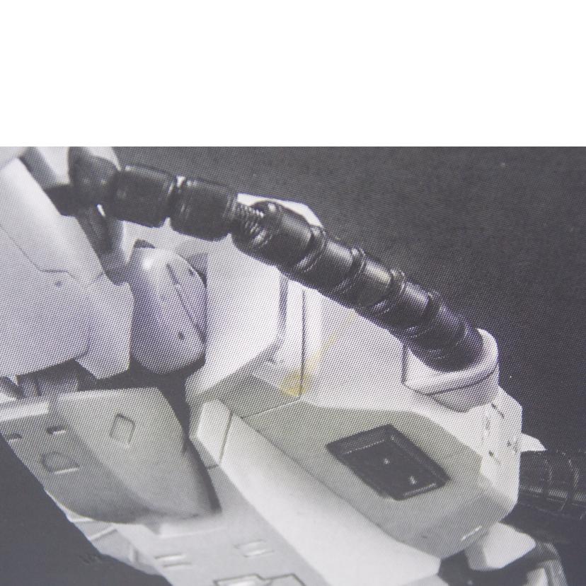 BANDAI バンダイ/RG　MS－06R－1A　シン・マツナガ専用ザク2//Bランク/42