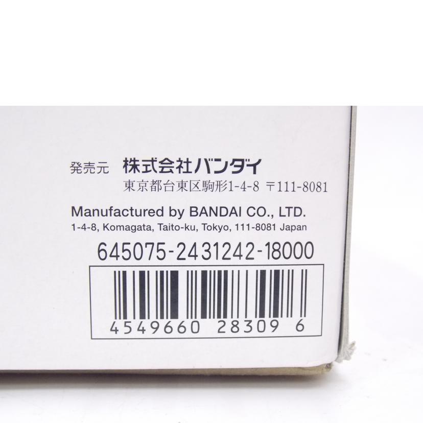 BANDAI バンダイ/MG　サザビー　Ver．Ka　スペシャルコーティング//Bランク/42