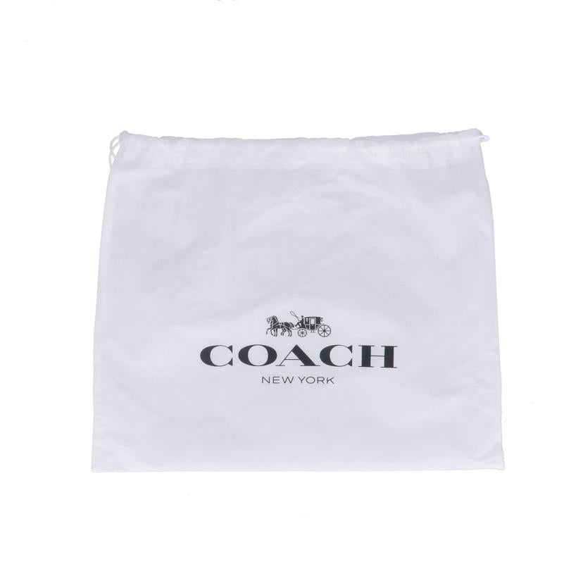 COACH コーチ/サリバンパック・スキースピードグラフィック/CE524//J22**/Aランク/09