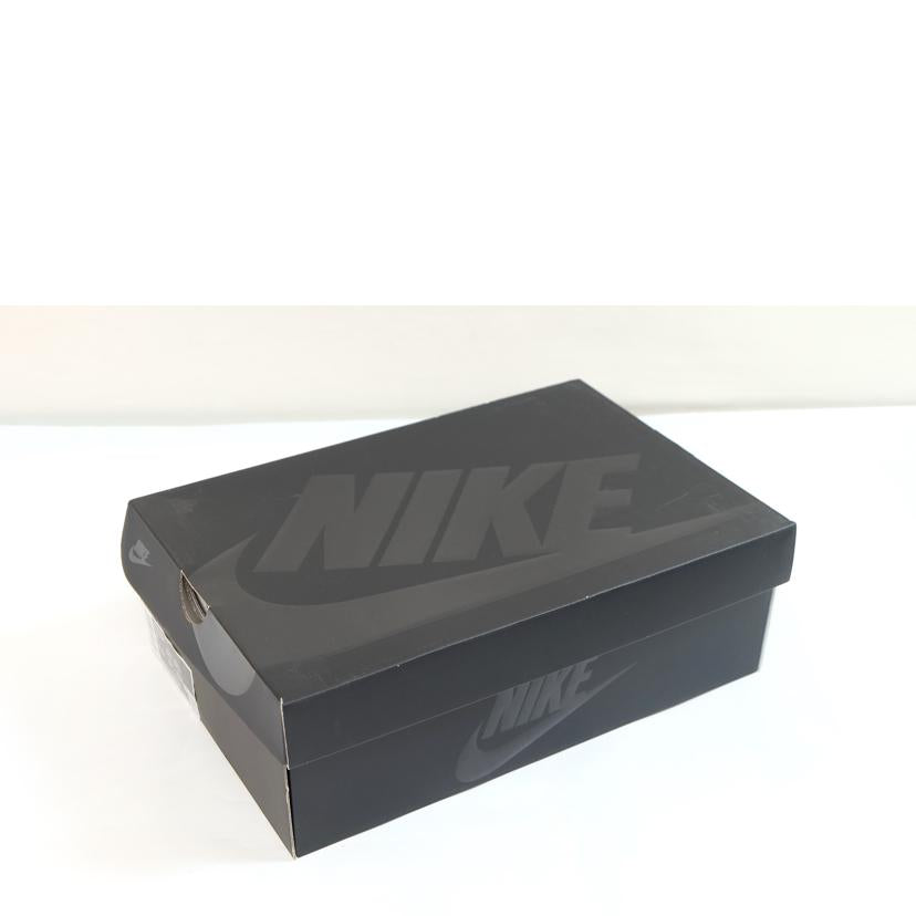 NIKE ナイキ/DUNK　HI／F/DJ0382-600//-/Aランク/71