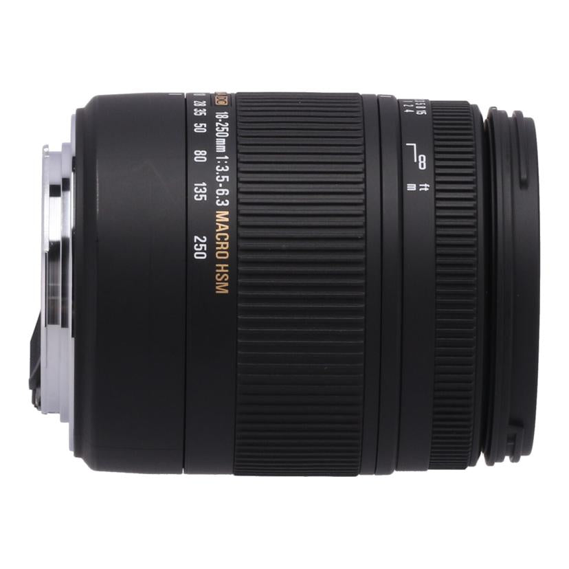 SIGMA　Canon シグマ　/交換レンズ／18－250mm/18-250mm F3.5-6.3 DC MACRO OS HSM//13687907/Bランク/81
