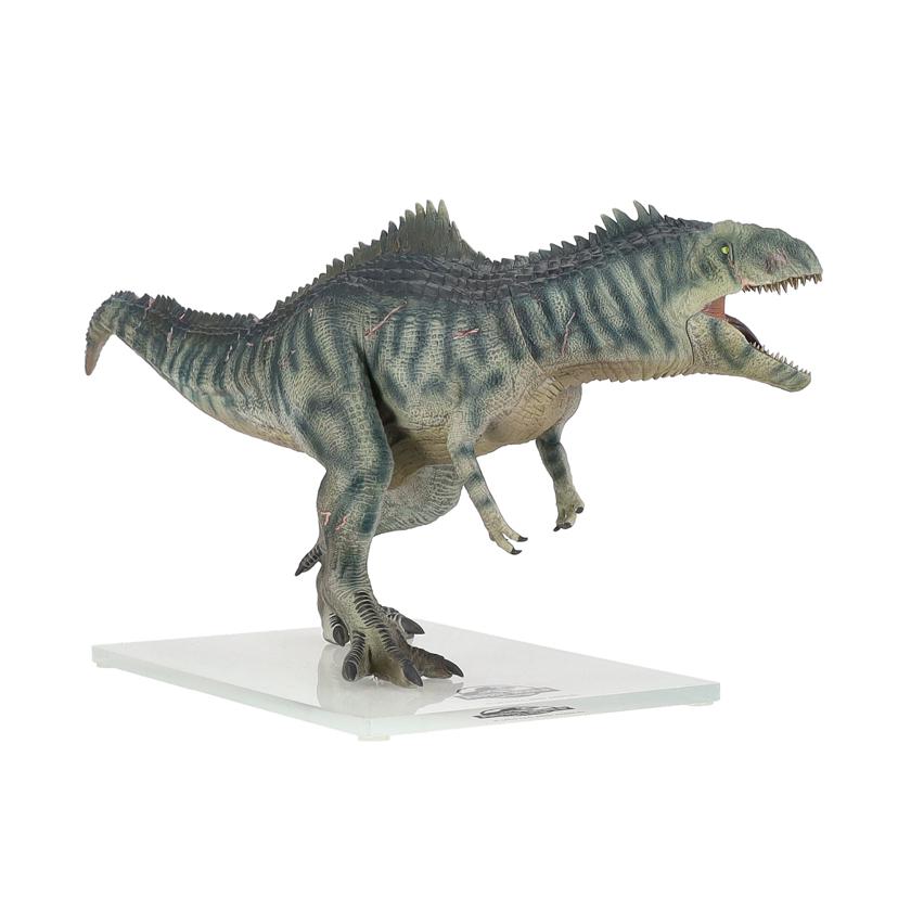 DINO　DREAM ディノ　ドリーム/ギガノトサウルス/T26701-2011//Aランク/75