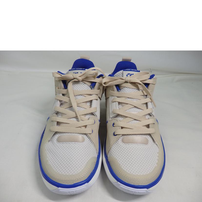 NIKE ナイキ/NIKE　JORDAN／26．0cm/FD2336-004//Aランク/84