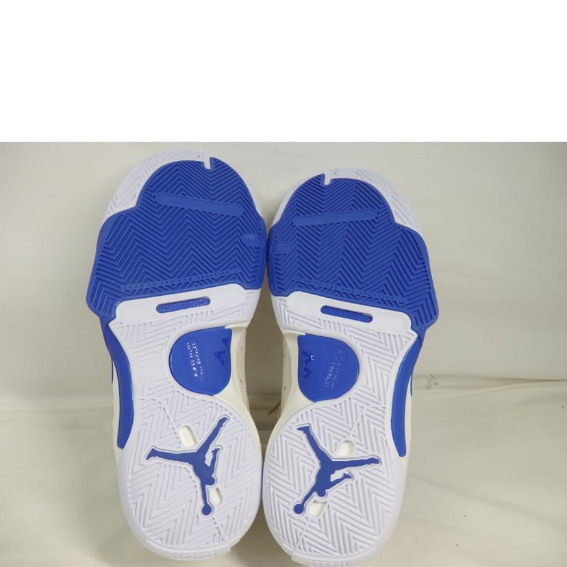 NIKE ナイキ/NIKE　JORDAN／26．0cm/FD2336-004//Aランク/84