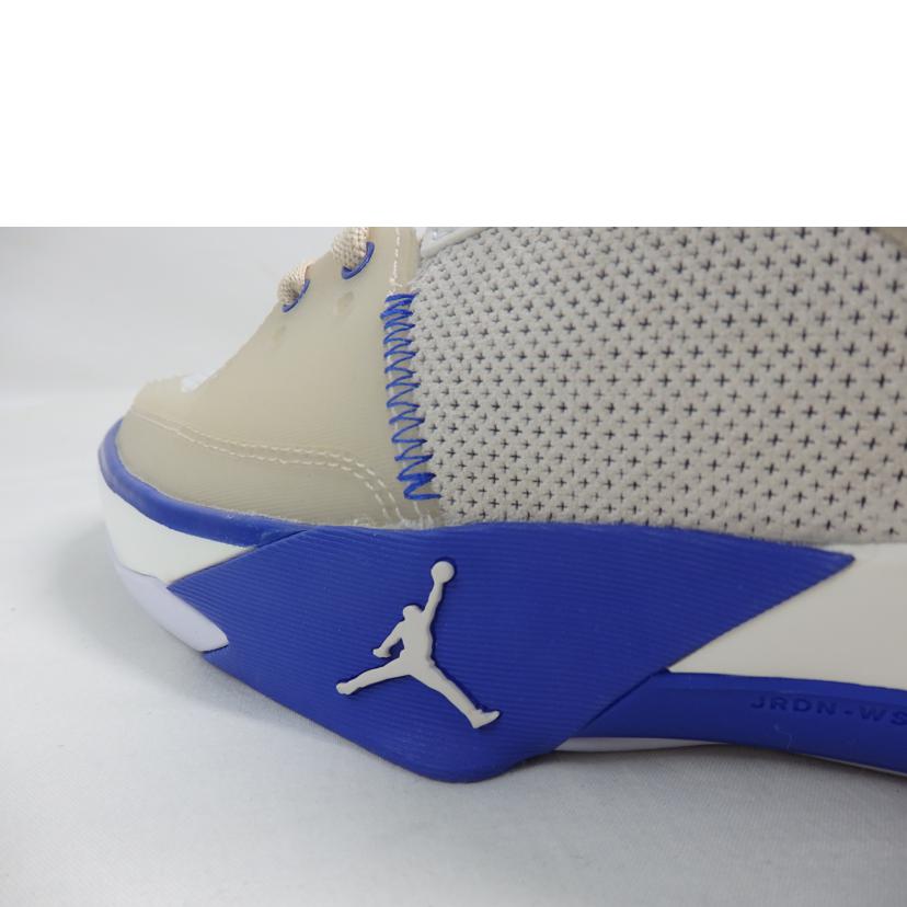 NIKE ナイキ/NIKE　JORDAN／26．0cm/FD2336-004//Aランク/84