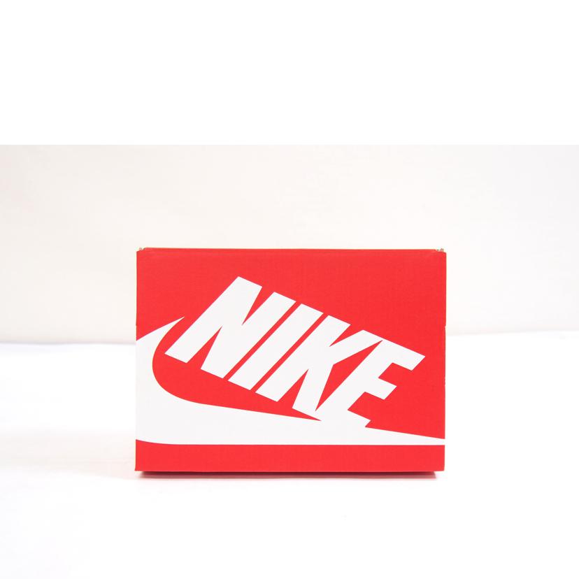NIKE ナイキ/NIKE　DUNK　LOW　/FB9107-123//Sランク/71