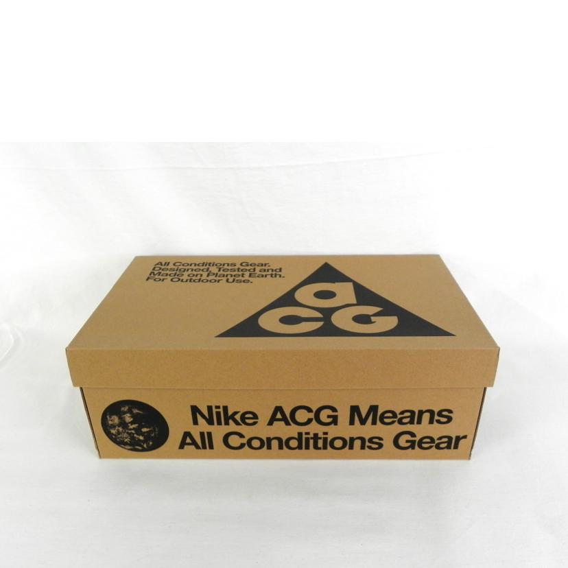 NIKE ナイキ/ACG　TORRE　MID　WP　メンズスニーカー　ブラウン×ネイビー/FD0212-800//Aランク/81