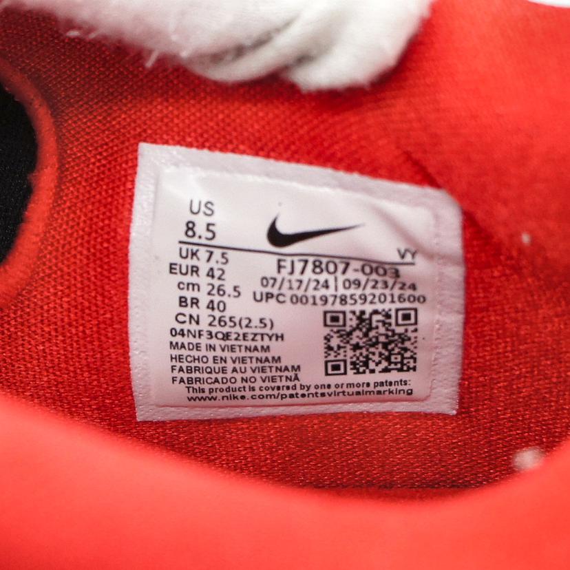 NIKE ナイキ/ヤニス　フリーク　6　EP/FJ7807 003//ABランク/42