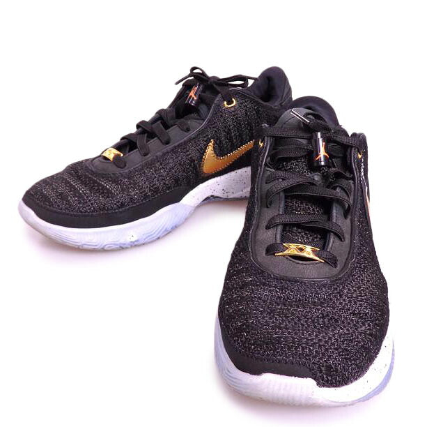 NIKE ナイキ/Lebron ローカットスニーカー/DJ5422-003//Aランク/76