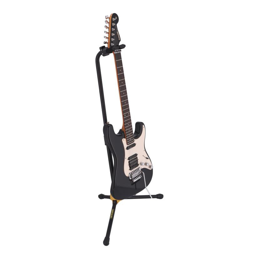 Fernandes フェルナンデス/楽器｜WonderREX-ONLINE 公式通販サイト