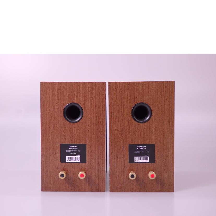 PIONEER パイオニア/スピーカー／S－CN301－LR/S-CN301-LR//RGRY003610JP/ABランク/76