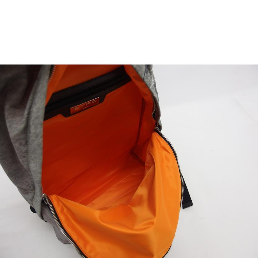 ＥＴＲＯ エトロ/ライオンプリント／ナイロンリュック//ABランク/04