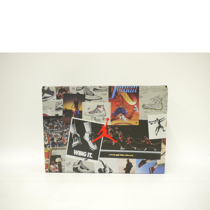 NIKE ナイキ/エアジョーダン3レトロSE／Animal　instinct/CK4344-002//Aランク/69