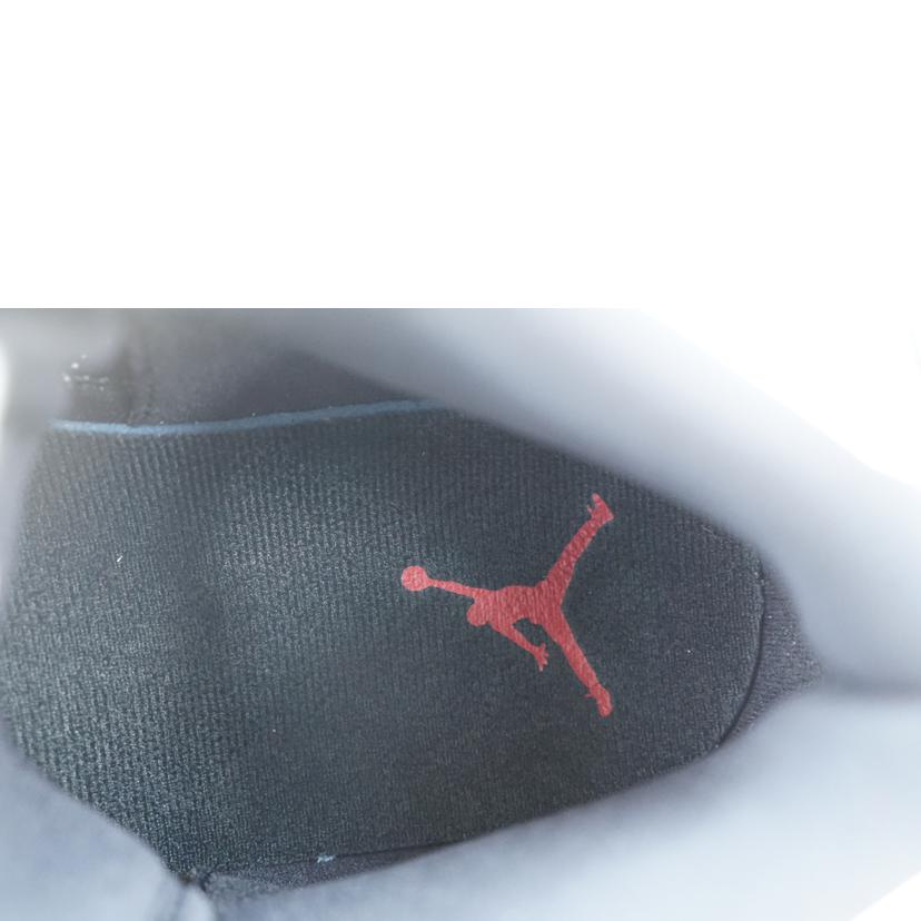 NIKE ナイキ/NIKE　JORDAN　ACCESS　29．0/AR3762-101//Aランク/67