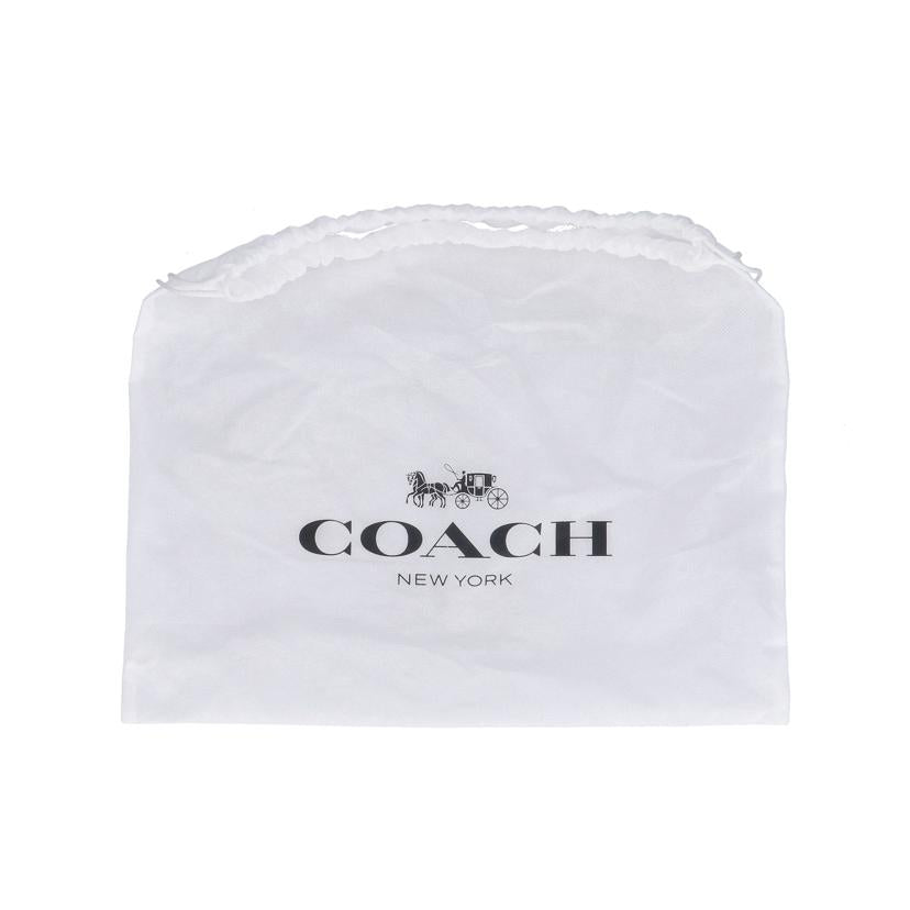 COACH コーチ/キャンティーンクロスボディスヌーピーライツモチーフ/CE844//M22**/Aランク/09