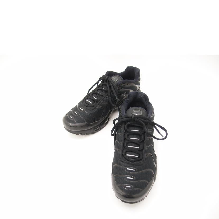 NIKE ナイキ/エアマックスPLUS　GS/CD0609-001//Aランク/69