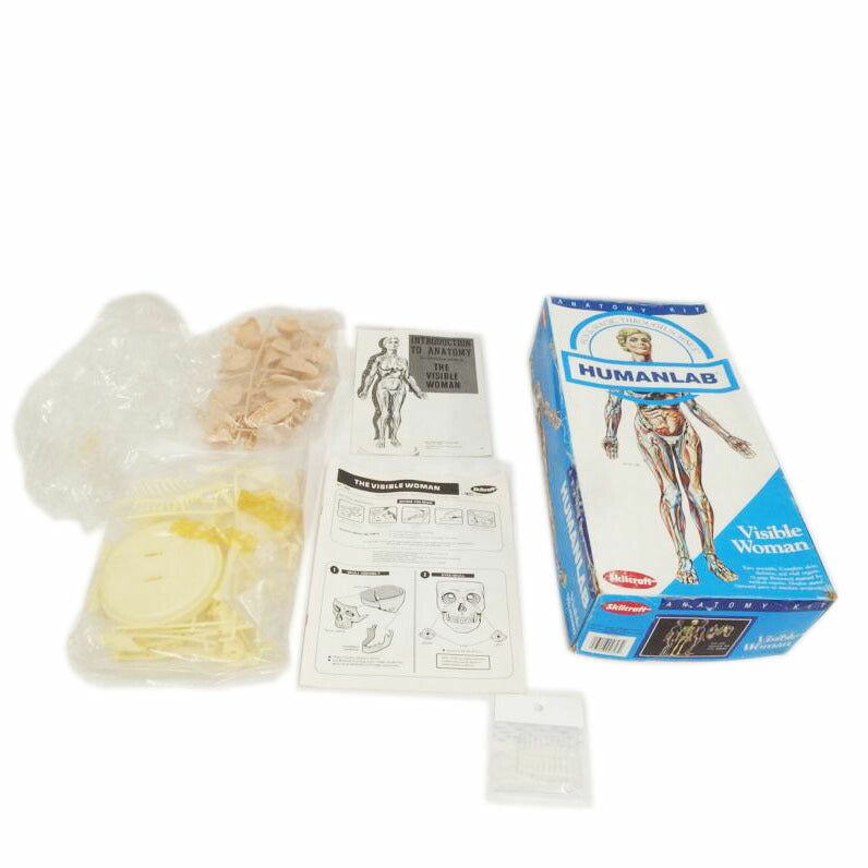 Skilcraft/Visible Woman HUMANLAB//Sランク/82