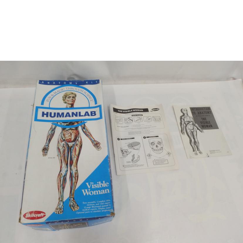 Skilcraft/Visible Woman HUMANLAB//Sランク/82