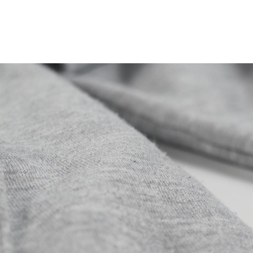 ＴＨＥ　ＮＯＲＴＨ　ＦＡＣＥ ザノースフェイス/ボックスロゴフーディー/NT62001A//ABランク/79