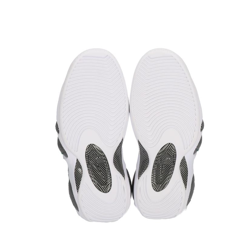 ＮＩＫＥ ナイキ/ＡＩＲ　ＺＯＯＭ　ＦＬＩＧＨＴ　９５/DM0523-001//Aランク/75