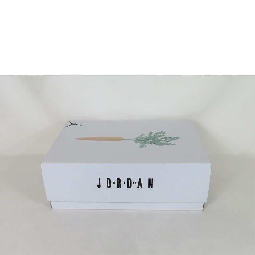 ＮＩＫＥ ナイキ/ＡＩＲ　ＪＯＲＤＡＮ　６　ＲＥＴＲＯ　スニーカー/CT8529-062//ABランク/81