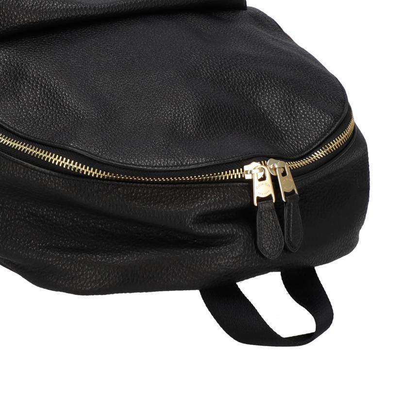 ＣＯＡＣＨ コーチ　COACH　チャーリぺプルド　レザーバックパック　レディース/チャーリペプルドレザー　バックパック/F29004//L19**/Aランク/37