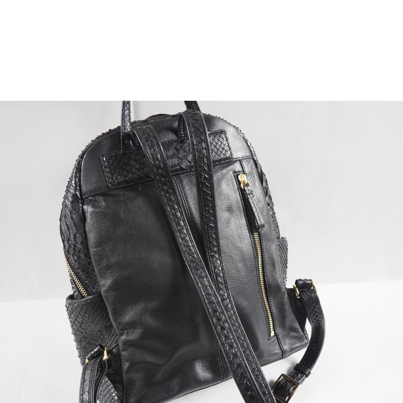 /パイソンリュック//ABランク/79