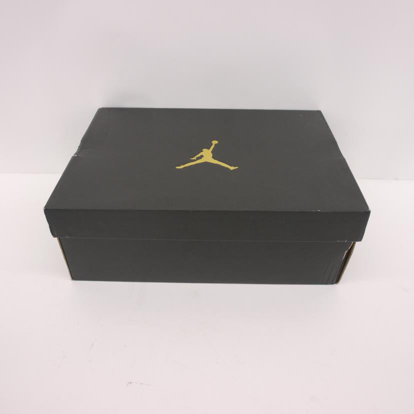 ＮＩＫＥ NIKE/ＡＩＲ　ＪＯＲＤＡＮ　１０　ＲＥＴＲＯ　/310805-019//00886916766939/Aランク/85