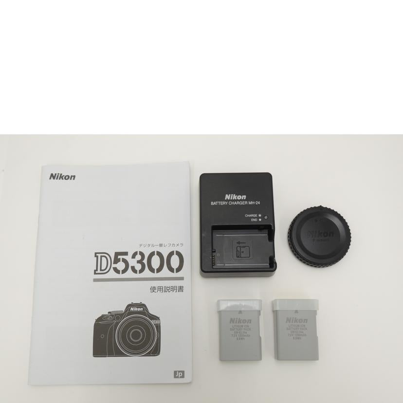 Ｎｉｋｏｎ ニコン/デジタル一眼/D5300ﾎﾞﾃﾞｨ//2004839/Aランク/69