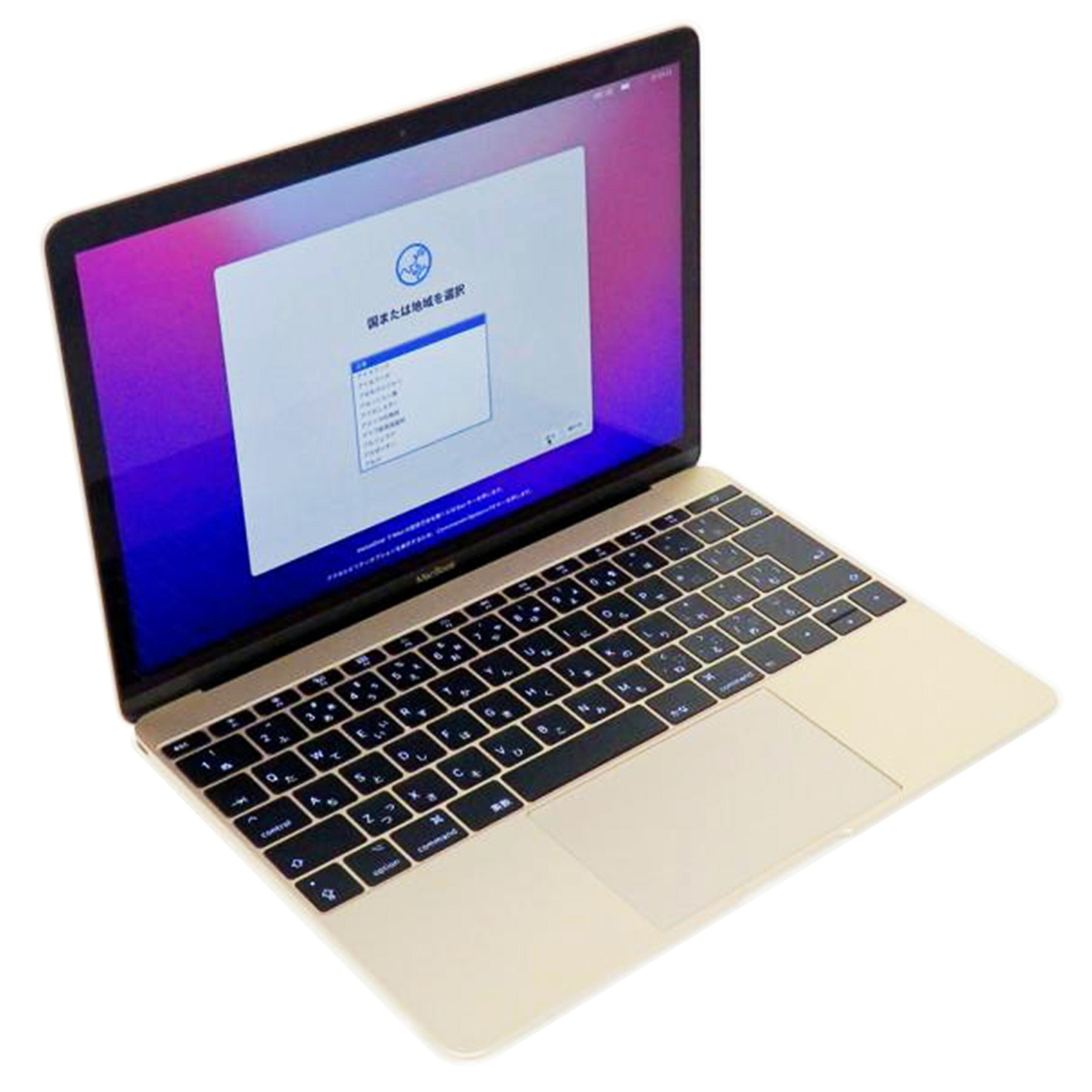 Ａｐｐｌｅ アップル/ＭａｃＢｏｏｋ（Ｒｅｔｉｎａ，１２－ｉｎｃｈ，２０１７）/MNYL2J/A//C02V107KHH26/Aランク/64