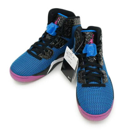 ＮＩＫＥ ナイキ/エアジョーダンスパイクフォーティ/819952-029//00886549009113/Aランク/75