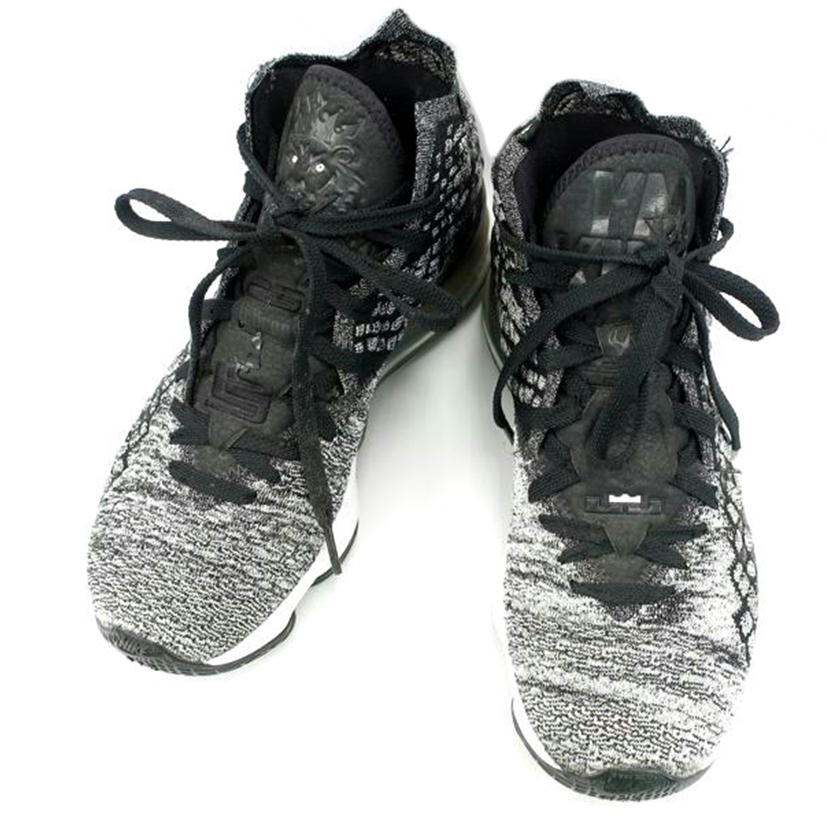 ＮＩＫＥ ナイキ/レブロン１７　ＬＥＢＲＯＮ　ＸＶＩＩ／２５．５ｃｍ／ブラック系/BQ3177-002//ABランク/65