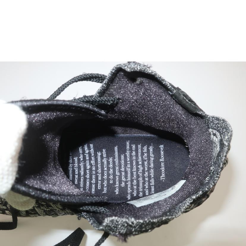 ＮＩＫＥ ナイキ/レブロン１７　ＬＥＢＲＯＮ　ＸＶＩＩ／２５．５ｃｍ／ブラック系/BQ3177-002//ABランク/65