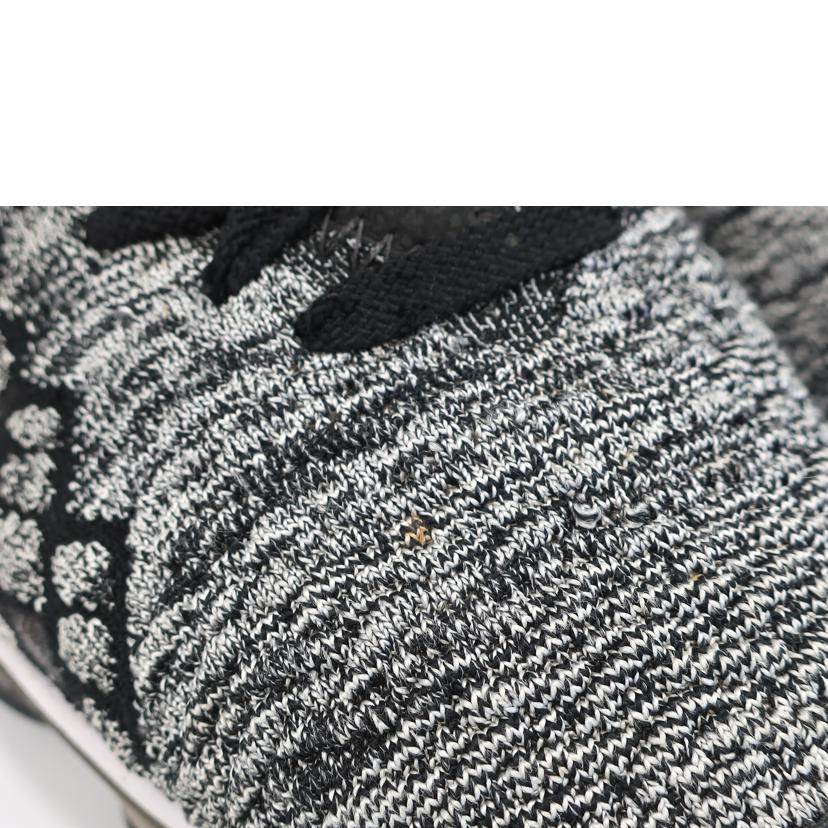 ＮＩＫＥ ナイキ/レブロン１７　ＬＥＢＲＯＮ　ＸＶＩＩ／２５．５ｃｍ／ブラック系/BQ3177-002//ABランク/65