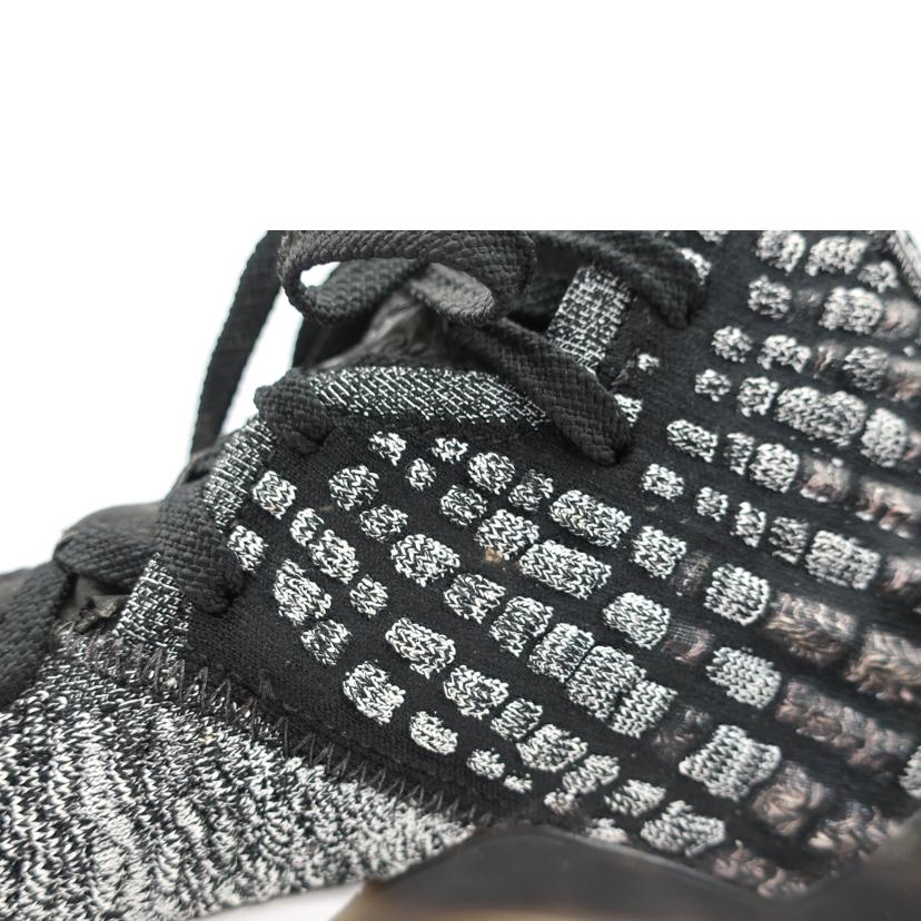 ＮＩＫＥ ナイキ/レブロン１７　ＬＥＢＲＯＮ　ＸＶＩＩ／２５．５ｃｍ／ブラック系/BQ3177-002//ABランク/65