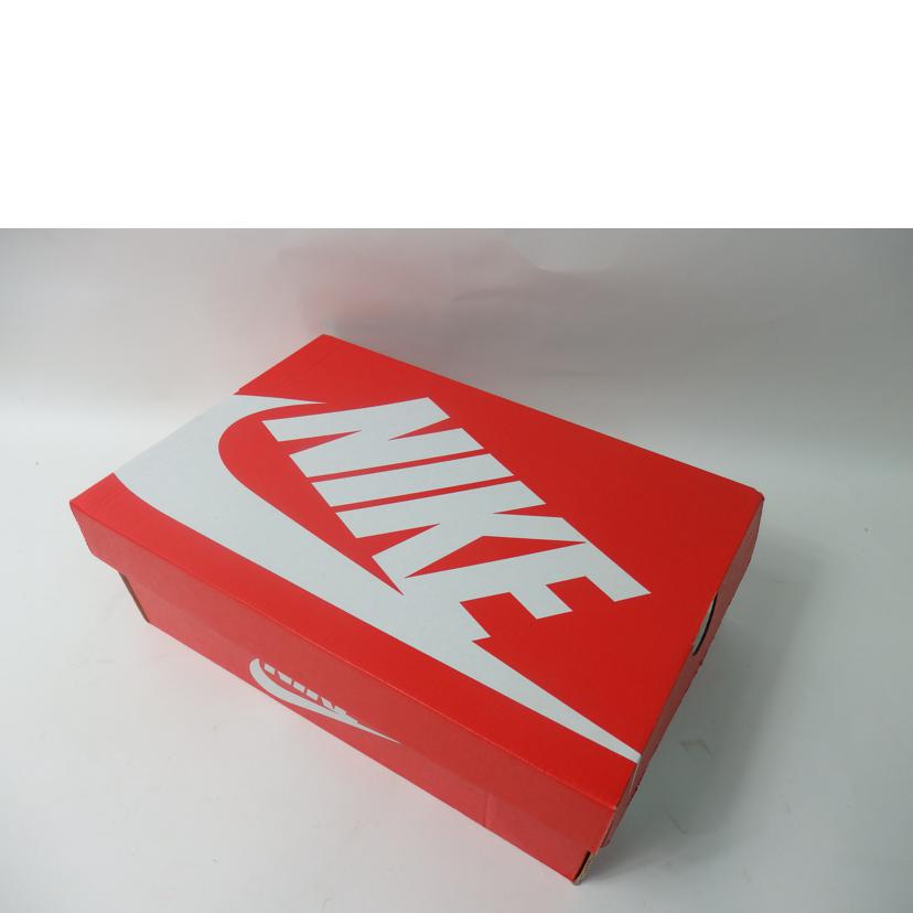 ＮＩＫＥ ナイキ/ＤＵＮＫ　ＳＣＲＡＰ／２８ｃｍ/DB0500-001//Aランク/84