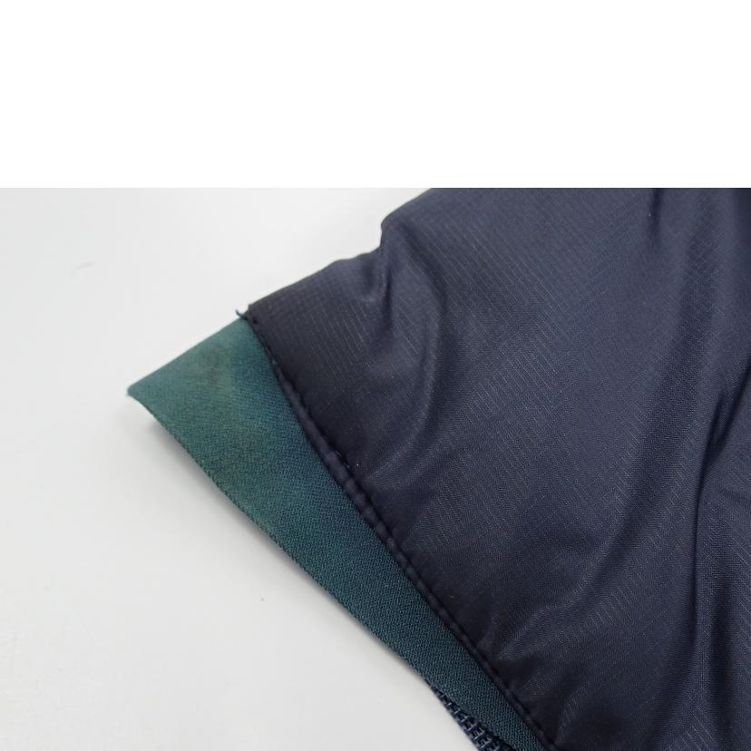 ＡＲＣＴＥＲＹＸ アークテリクス/★ダウンｊｋｔ　ＡＲＣＴＥＲＹＸ/9264621512446//L/Cランク/62