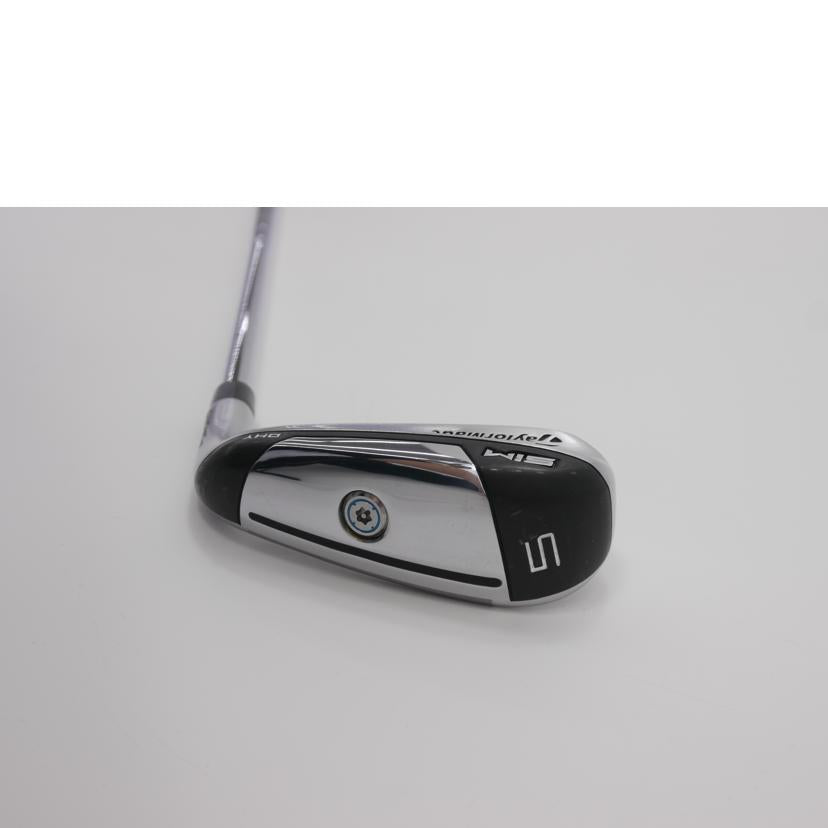 Ｔａｙｌｏｒｍａｄｅ テーラーメイド/Ｔ　アイアン５/SIM DHY//05HTNMCZN6/BCランク/75