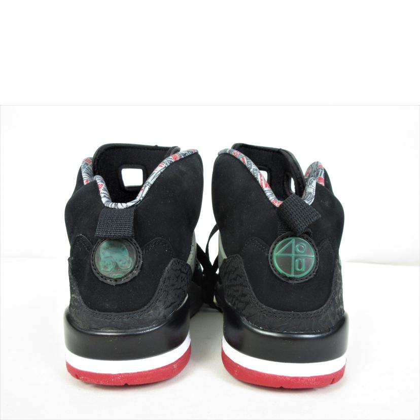 ＮＩＫＥ ナイキ/ＮＩＫＥ　ＪＯＲＤＡＮ　ＳＰＩＺＩＫＥ　２８．０ｃｍ/315371-062//28cm/Aランク/70