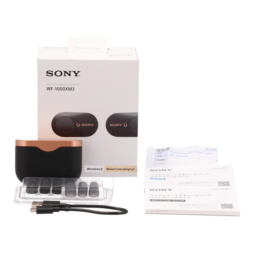 ＳＯＮＹ ソニー/ワイヤレスイヤホン/WF-1000XM3//S015507052A/Bランク/71