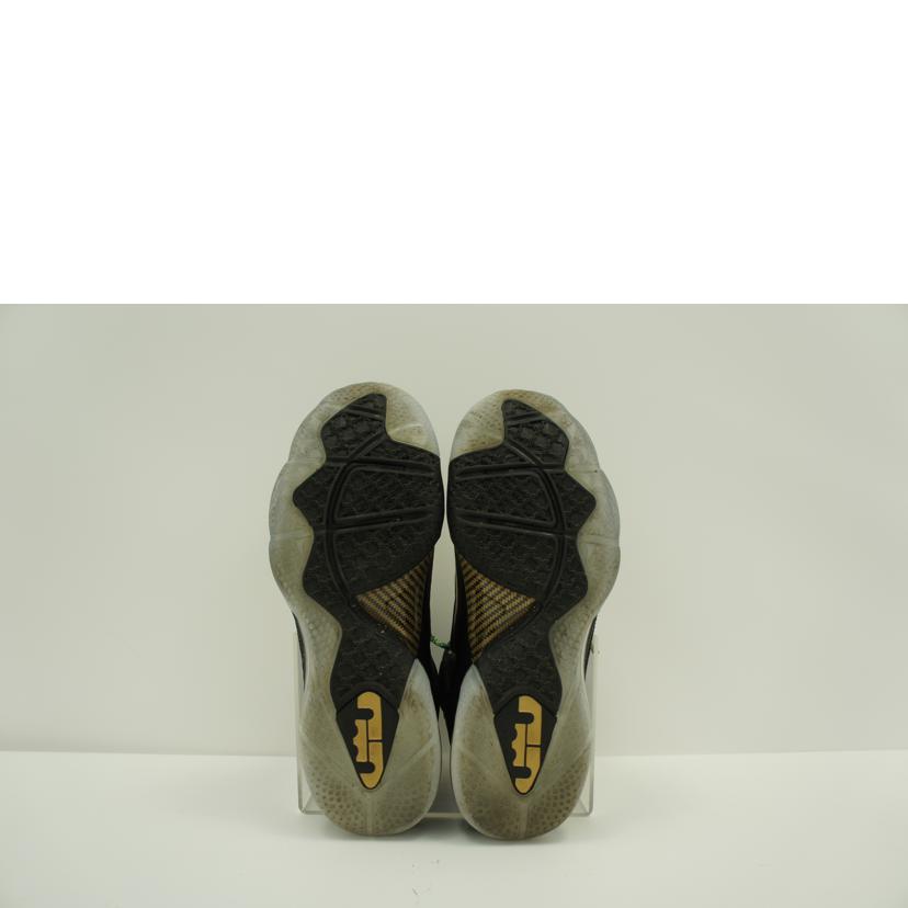 ＮＩＫＥ ナイキ　NIKE　レブロン9　LEBRON9　メンズ　ブラック　ハイカットスニーカー/レブロン９／ハイカットスニーカー/DO9353-001//ｻｲｽﾞ:28.5cm/ABランク/75