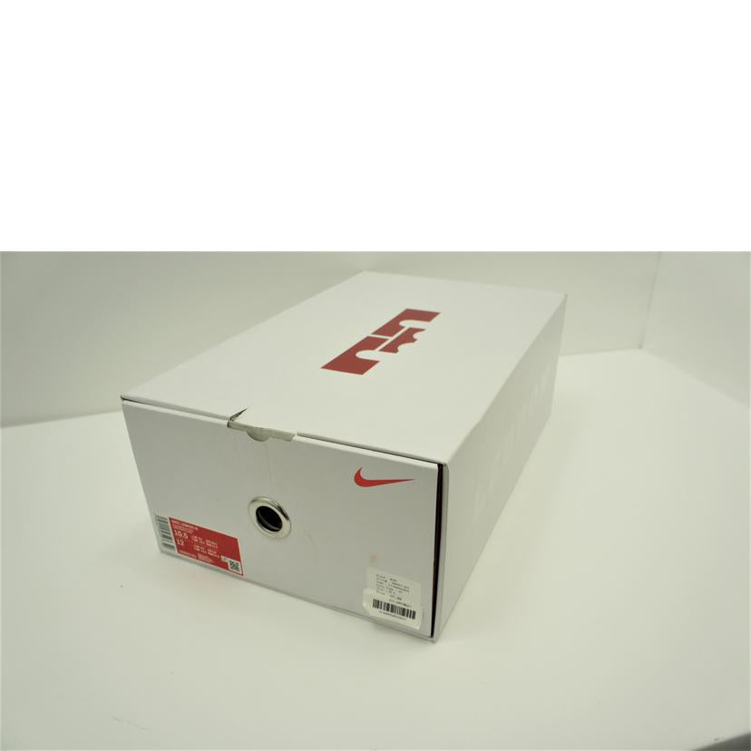 ＮＩＫＥ ナイキ　NIKE　レブロン9　LEBRON9　メンズ　ブラック　ハイカットスニーカー/レブロン９／ハイカットスニーカー/DO9353-001//ｻｲｽﾞ:28.5cm/ABランク/75