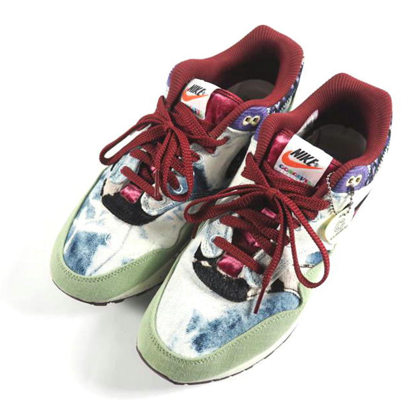 ＮＩＫＥ ナイキ/ＡＩＲ　ＭＡＸ　１　ＳＰ/DN1803-300//ABランク/79