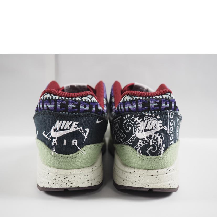 ＮＩＫＥ ナイキ/ＡＩＲ　ＭＡＸ　１　ＳＰ/DN1803-300//ABランク/79